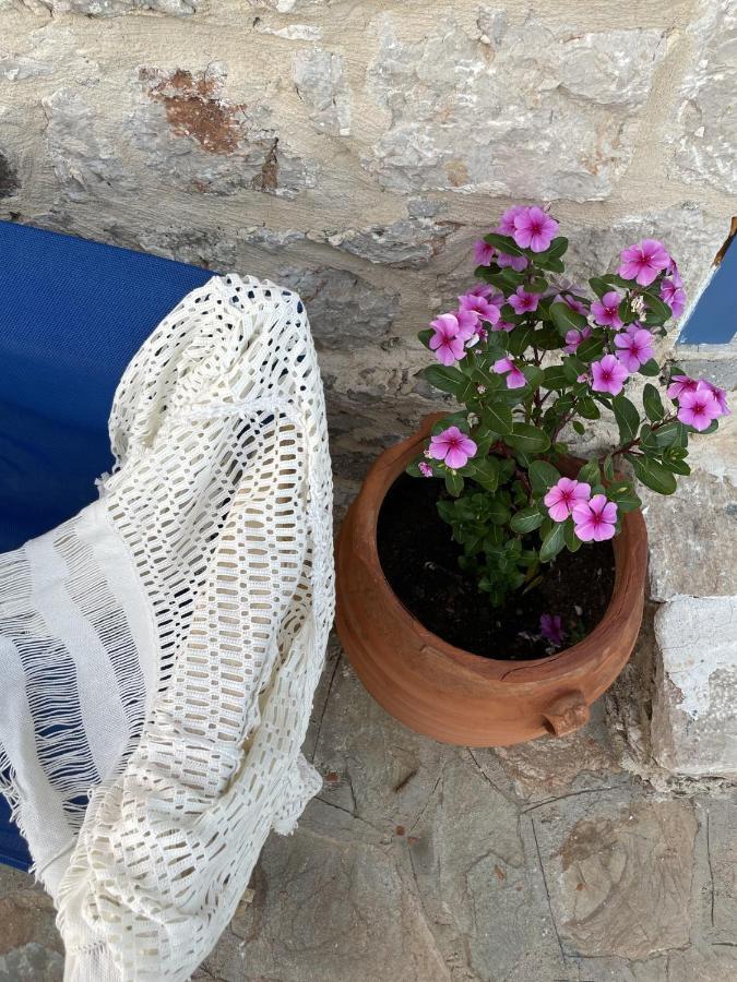 Marina Castellana Ii Appartement *